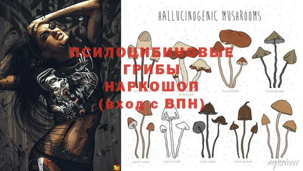 тгк Наволоки